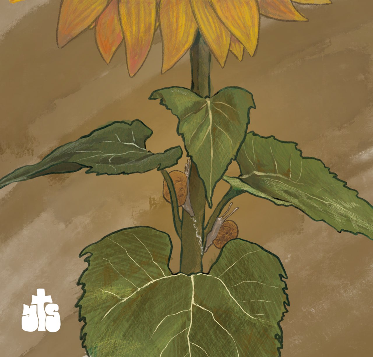 Portada Adións BB nos vemos luego